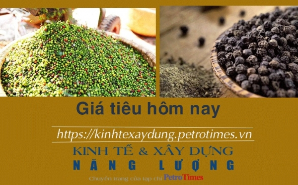 Giá tiêu hôm nay 30/1: Đông Nam Bộ tăng nhẹ