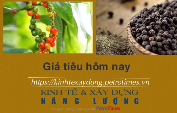 Giá tiêu hôm nay 1/2: Tăng tại Bình Phước