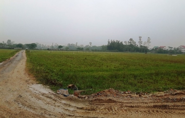 Hà Nội sắp thu hồi hơn 2.600ha đất nông nghiệp ở Hoàng Mai và Đông Anh