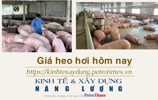 Giá heo hơi hôm nay 4/2: Biến động trái chiều