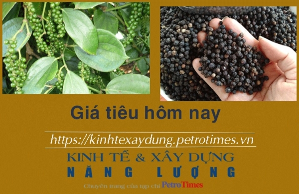 Giá tiêu hôm nay 4/2: Vượt ngưỡng 80.000 đồng