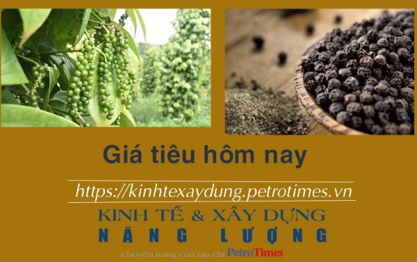 Giá tiêu hôm nay 5/2: Chững lại và ổn định