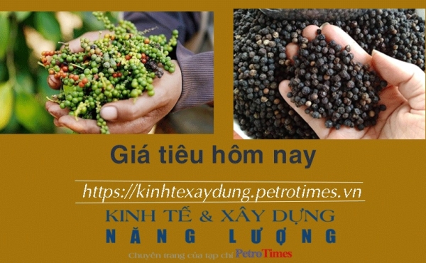 Giá tiêu hôm nay 8/2: Duy trì ổn định