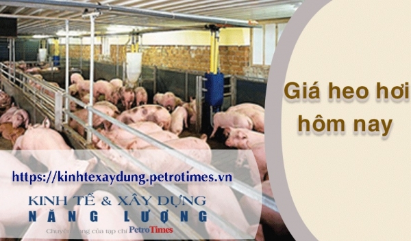 Giá heo hơi hôm nay 2/3: Tiếp tục đi ngang