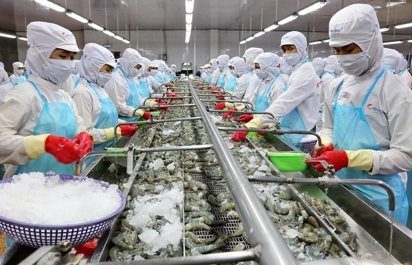 Xuất khẩu tôm sang Mỹ, Trung Quốc đồng loạt tăng trưởng