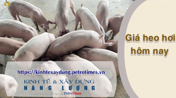 Giá heo hơi hôm nay 8/4: Chững lại trên cả nước