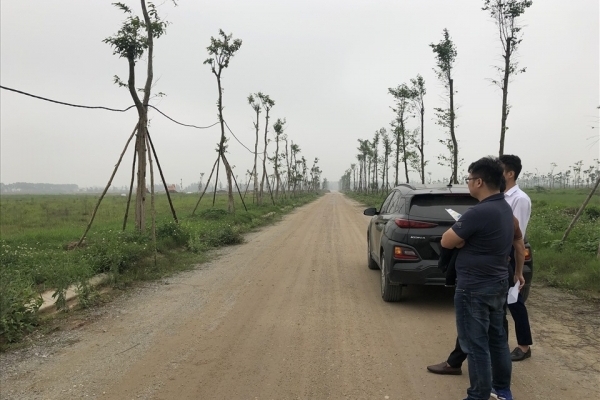 Khi 'cò' đất trở thành 'cuội' đất