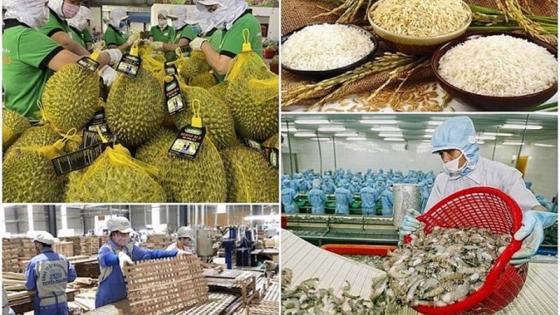 Việt Nam Xuất khẩu nông lâm thủy sản đạt hơn 29 tỷ USD trong 2 quý đầu năm