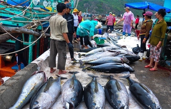 Xuất khẩu thủy sản Việt Nam quay trở lại quỹ đạo