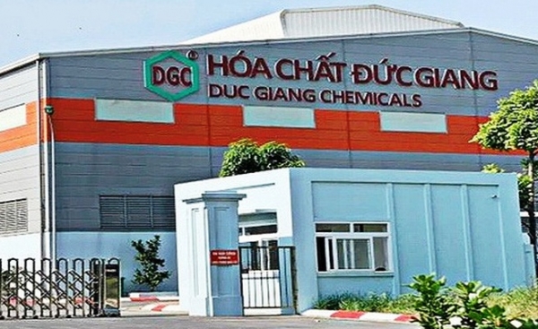 Hóa chất Đức Giang (DGC) tạm ứng cổ tức 2024 với tỷ lệ 30% bằng tiền mặt