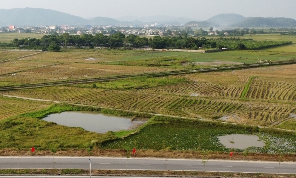 Thanh Hóa: Chấp thuận nhà đầu tư thực hiện dự án khu dân cư 105 tỷ đồng