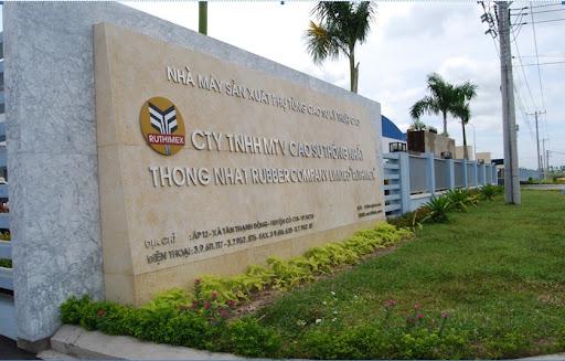 Không phải cao su, một mặt hàng bất ngờ đưa Cao su Thống Nhất (TNC) lãi đậm kỷ lục sau nhiều năm tăng trưởng chậm