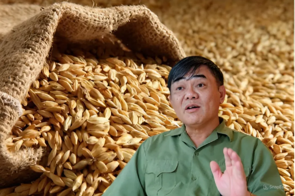 Đường Man - Doanh nghiệp từng làm nên tên tuổi đại gia Đường ‘bia’ tiếp tục thua lỗ