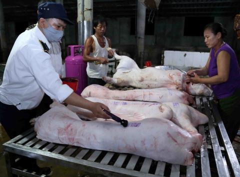 Nghi thịt lợn bị thao túng giá, Bộ Công thương kiểm tra