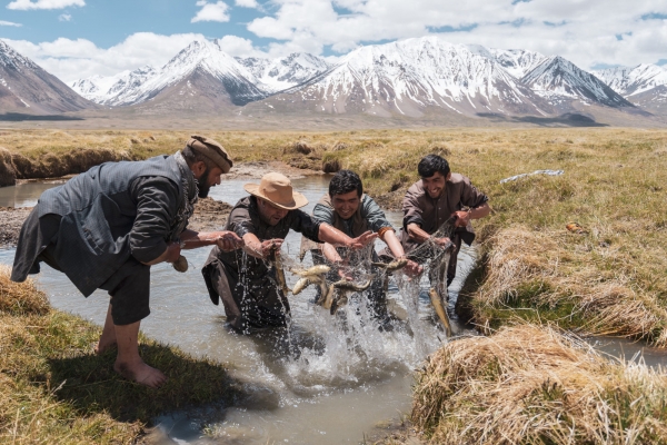 Đã từng có một Afghanistan bình yên đến thế