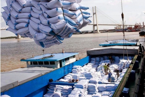 Cơ hội từ EVFTA, gạo Việt rộng đường vào EU