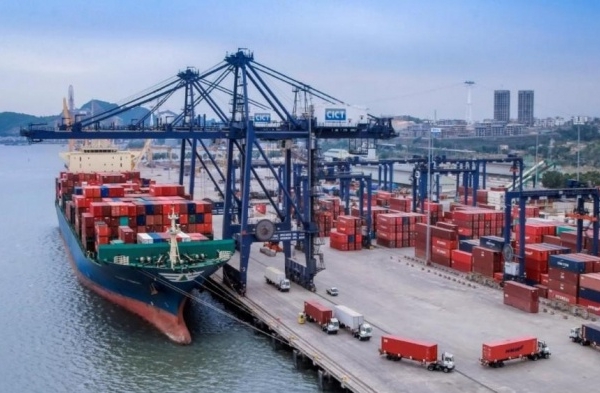 Hàng container qua cảng biển vẫn tăng hai con số bất chấp Covid-19