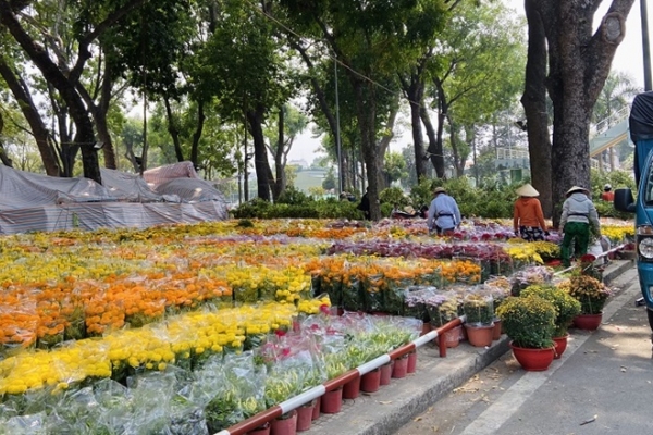Hà Nội: Miễn phí tiền thuê mặt bằng đối với các hộ kinh doanh hoa, cây cảnh dịp Tết