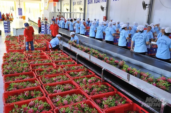 'Lộ diện' 4 thị trường xuất khẩu nông, lâm, thủy sản lớn nhất của Việt Nam