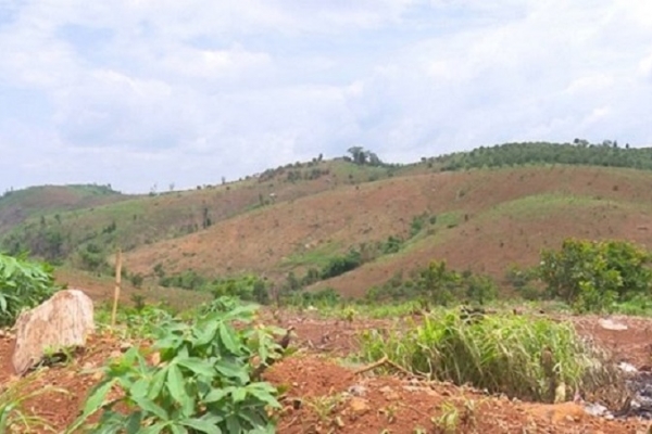 Đắk Nông: Bổ sung 24 dự án cần thu hồi đất, chuyển mục đích sử dụng đất