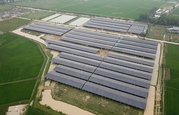 Doanh nghiệp Hà Tĩnh làm dự án nông nghiệp nhưng lắp pin... năng lượng mặt trời
