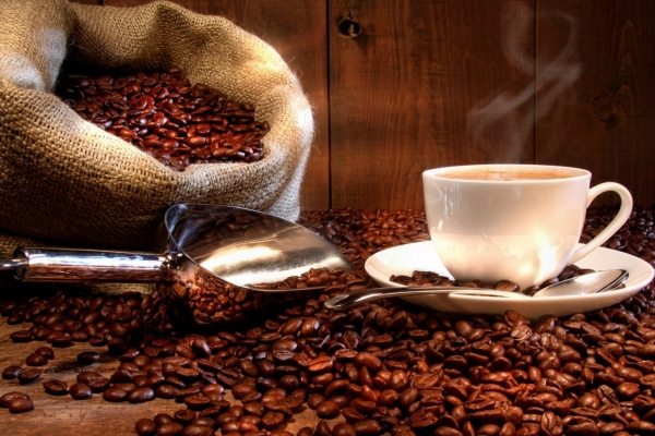 Giá cà phê hôm nay 23/3: Tăng nhẹ tại thị trường trong nước