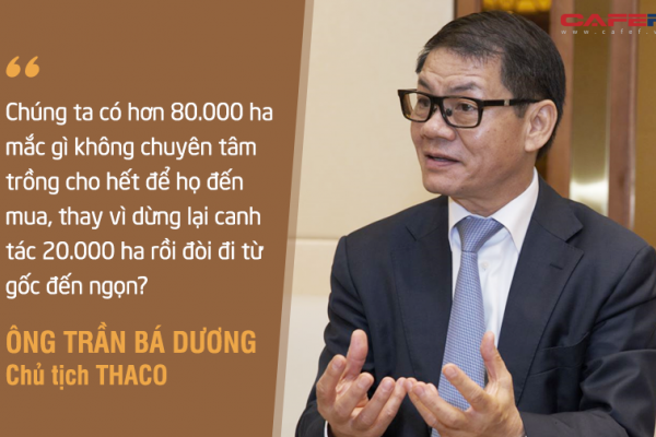 HAGL Agrico (HNG): Doanh thu giảm phân nửa xuống 260 tỷ sau quý đầu tiên do Thaco 'cầm lái', 3 tháng thực hiện 12% chỉ tiêu cả năm 2021