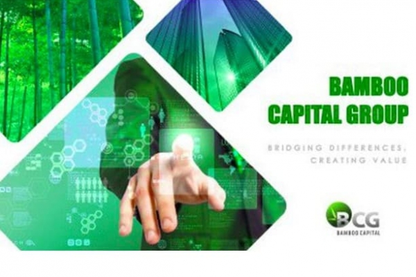 Bamboo Capital (BCG) trả cổ tức 8% bằng tiền mặt vào tháng 7
