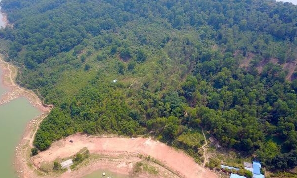 Thái Nguyên chuyển mục đích sử dụng 79,63ha rừng để thực hiện các dự án