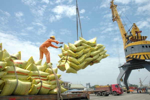 Gạo Việt xuất vào EU bằng 1/10 Myanmar: Thay đổi có dễ?