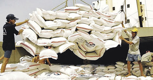 Giá gạo Việt xuất khẩu tăng vọt, gần 500 USD/tấn