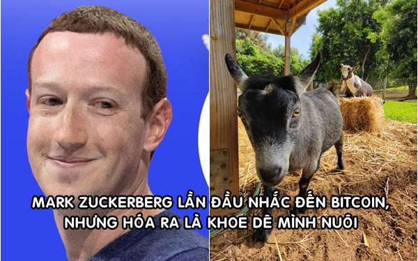Mark Zuckerberg khoe ảnh nuôi dê, đặt tên là Bitcoin: Hút hơn 400.000 lượt thích sau hơn 3 giờ đăng tải