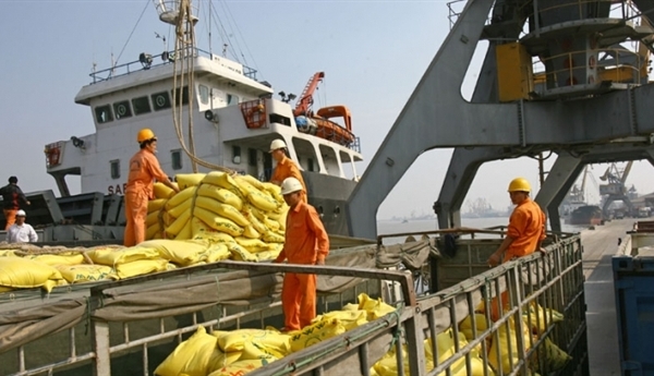 Thêm nghịch lý logistics Việt: Ai hưởng lợi ở cảng biển?