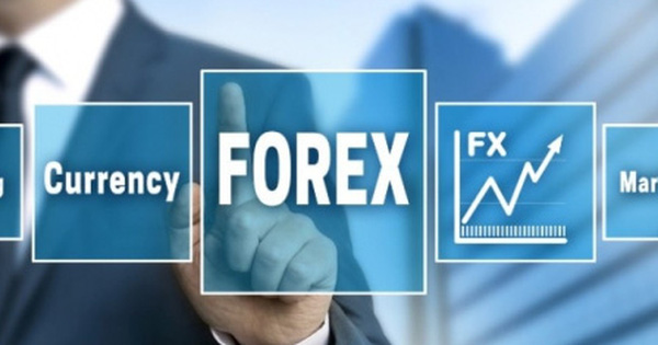 Chưa có bất kỳ sàn đầu tư chứng khoán Forex nào được cấp phép