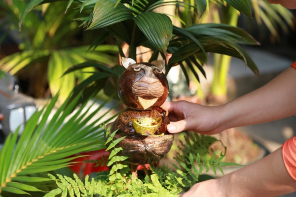 Độc đáo bonsai dừa tạo hình linh vật hổ năm Nhâm Dần 2022