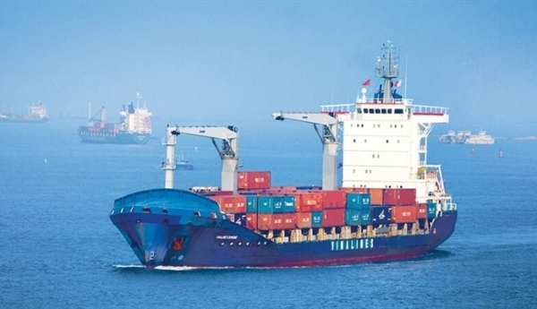 Phát triển đội tàu container của Việt Nam: Thận trọng